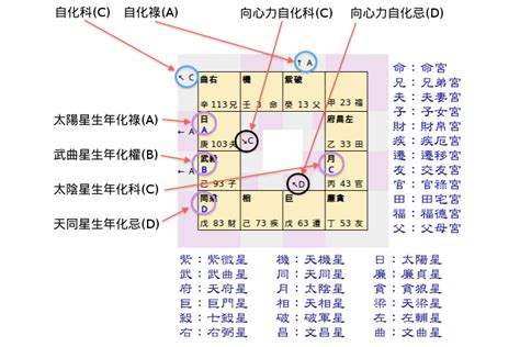 紫微|免費紫微命盤